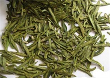 如何提高种植高档茶叶的产量