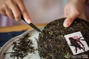 侦茶记云南普洱茶系列产品发布